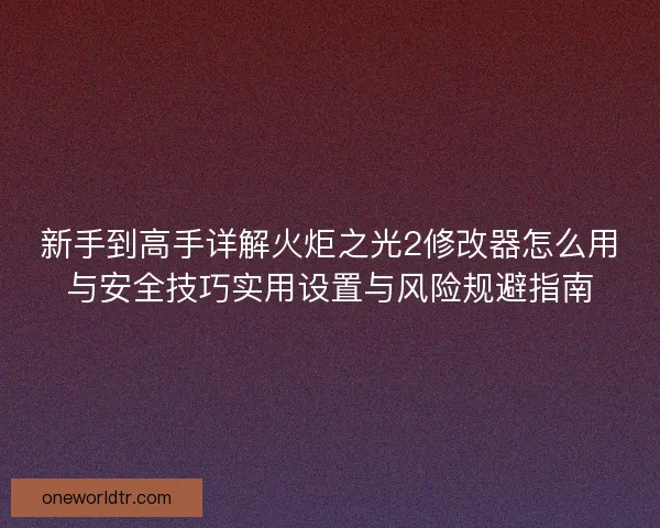 新手到高手详解火炬之光2修改器怎么用与安全技巧实用设置与风险规避指南